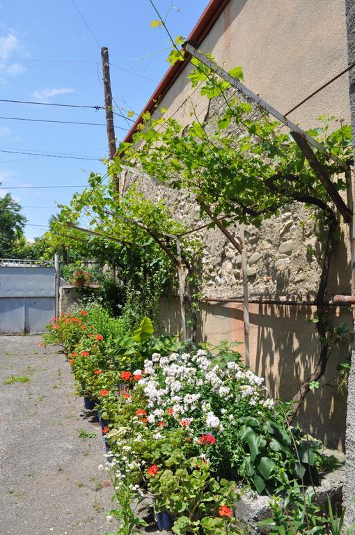 Guest House Cico Telavi Buitenkant foto